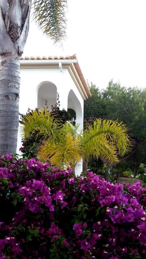 Queen Palm Luz Εξωτερικό φωτογραφία