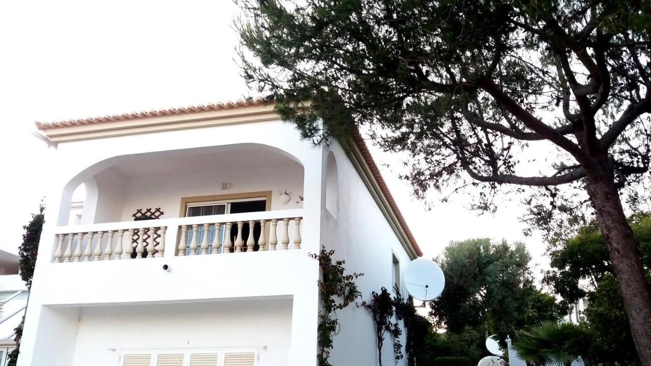 Queen Palm Luz Εξωτερικό φωτογραφία